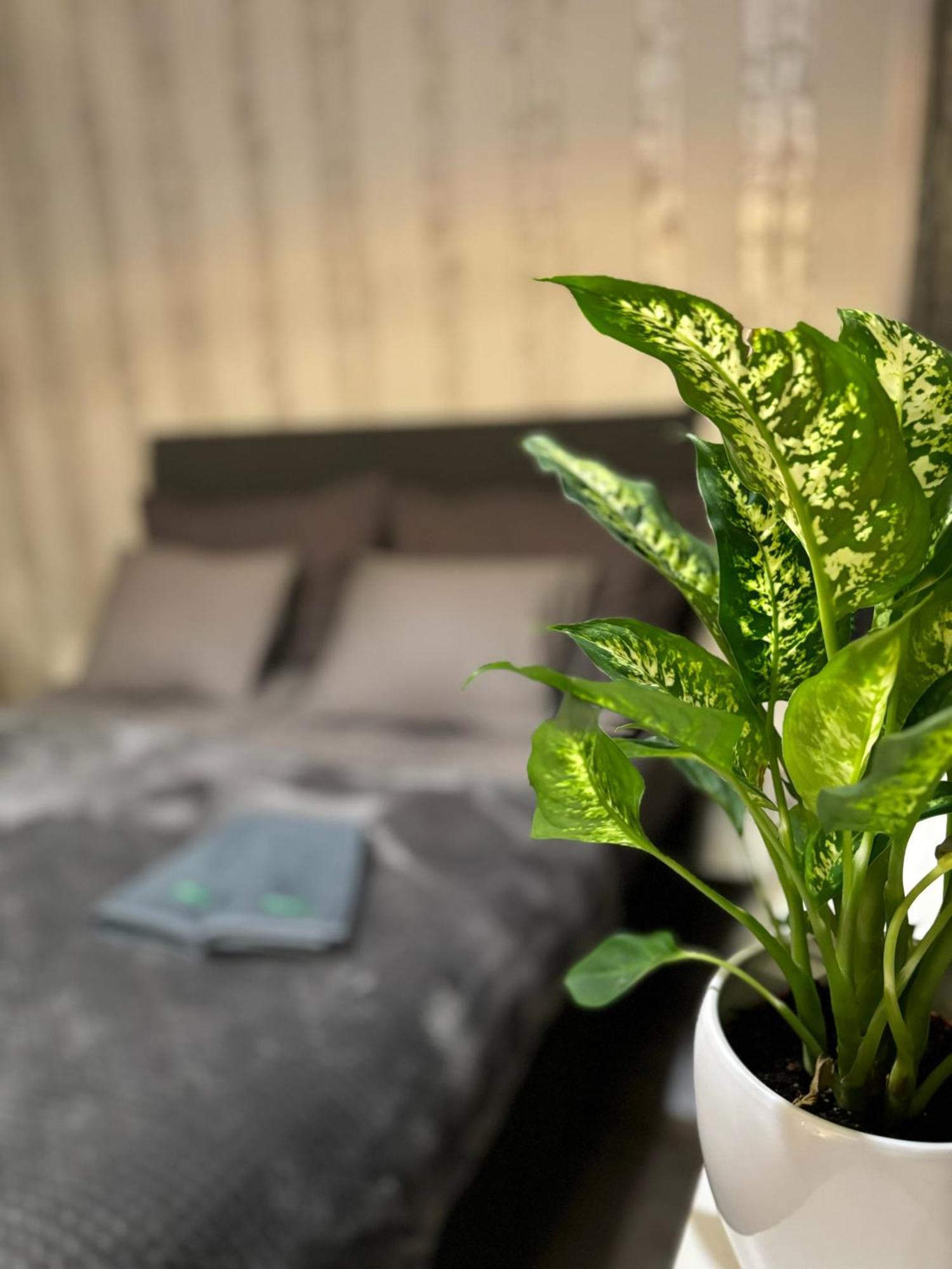 Vartiomaja - Beautiful Apartment Near Arktikum 罗瓦涅米 外观 照片
